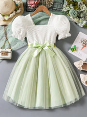 Girls Floral Embroidered Puff Sleeve Tulle Party Dress - Sage