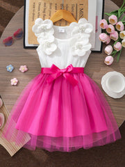 Girls 3D Floral Appliqué Tulle Party Dress - Fuchsia