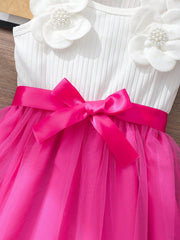 Girls 3D Floral Appliqué Tulle Party Dress - Fuchsia