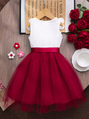 Little Girls 3D Floral Tulle Fit & Flare Dress - Crimson