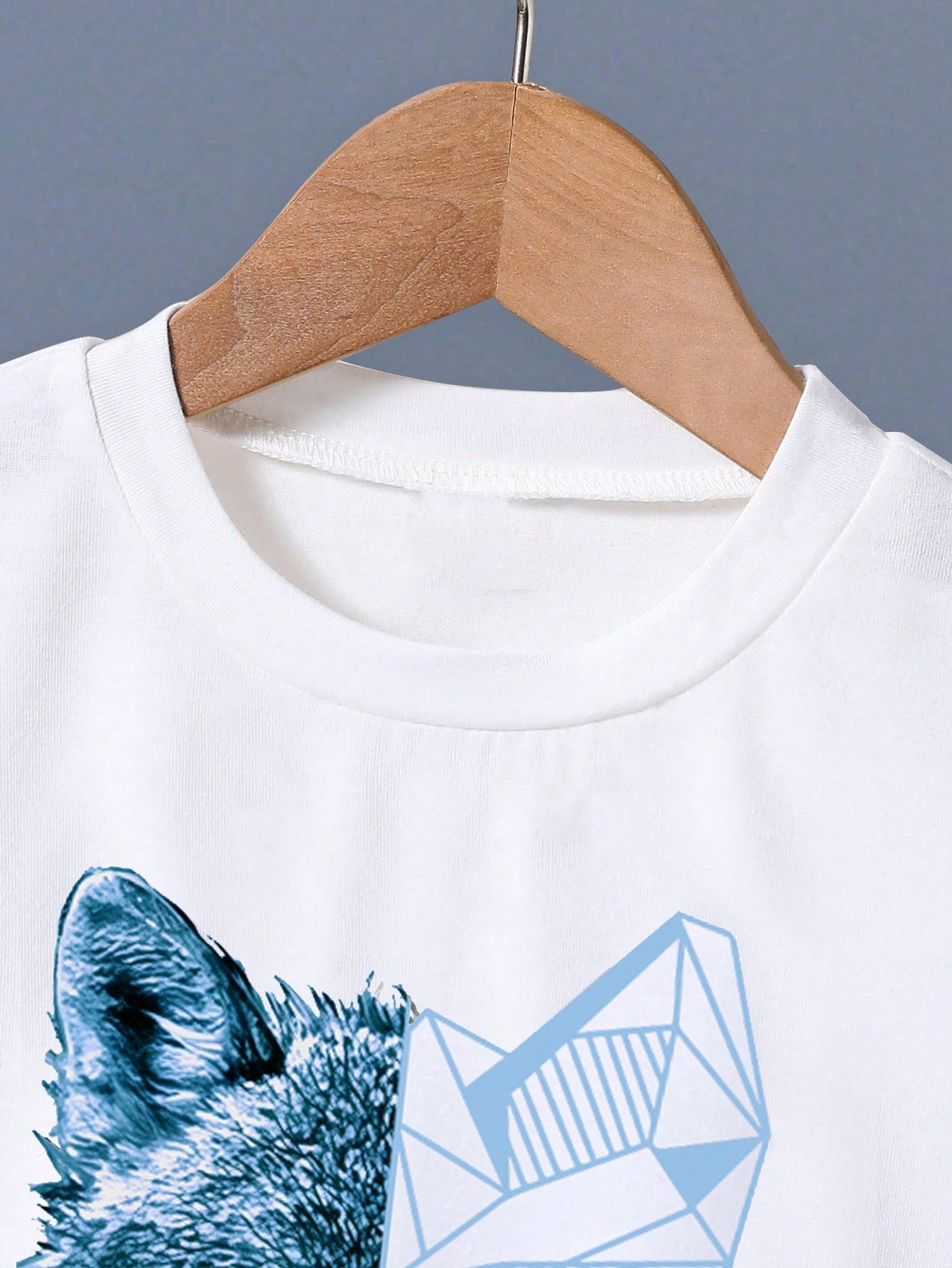 2pcs Boys Geometric Wolf Print T-Shirt & Shorts Set - Powder | 21 C...
