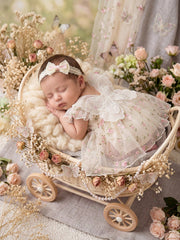 Baby Girls Rose Embroidered Tulle Butterfly Dress - Ivory | 21 Cent...