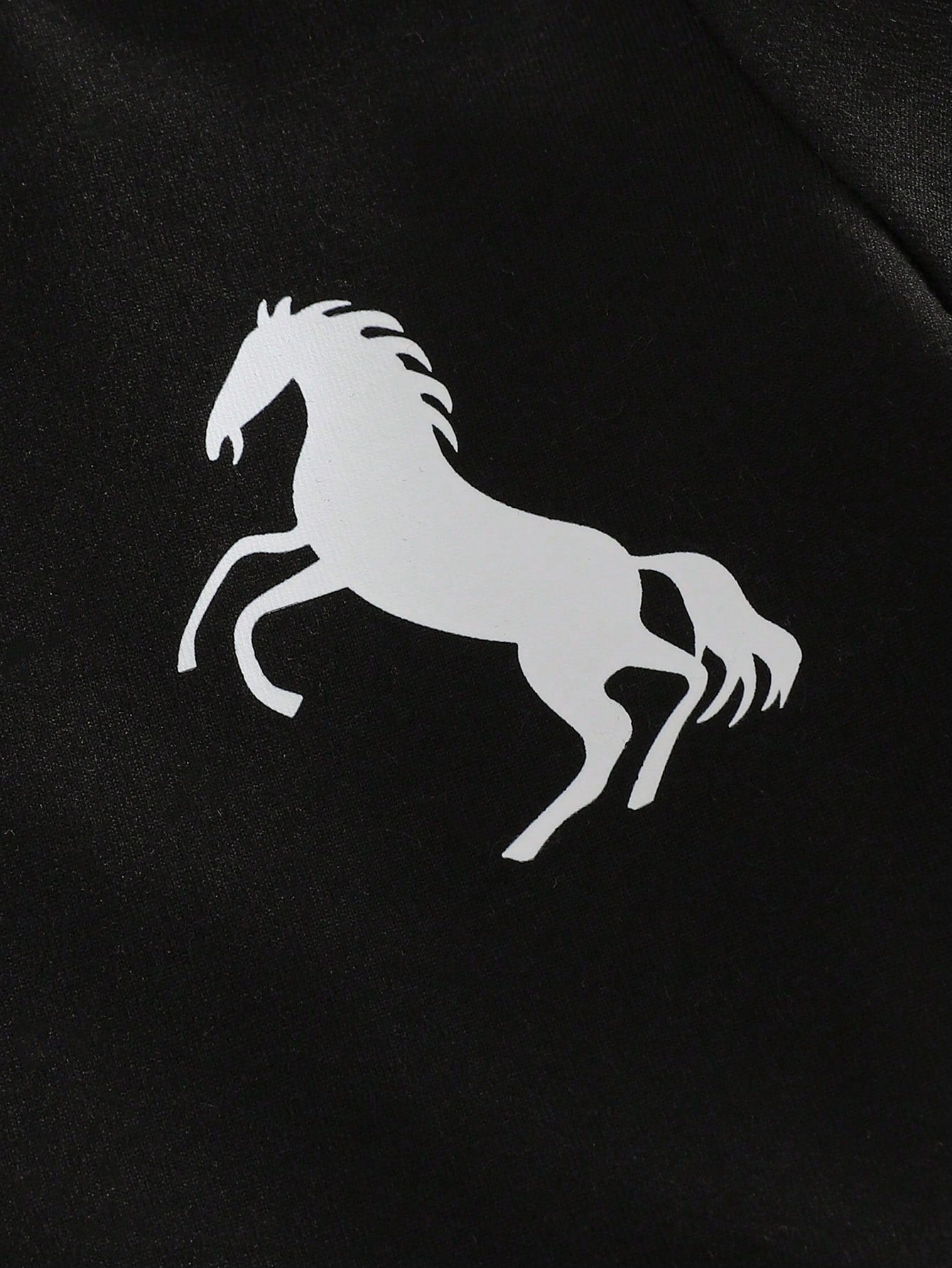 2pcs Boys Rearing Horse Print Tee & Jogger Set - Onyx | 21 Century ...